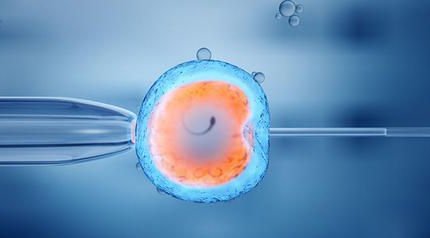 邯郸市第一医院试管婴儿费用解读，价格高低别一概而论