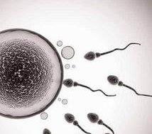 详细解读延安市做长方案试管婴儿费用，长方案和短方案成功率有差别吗？