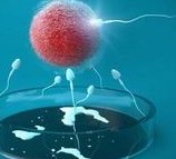 第二次试管婴儿移植冻胚的流程？试管婴儿移植前需要做哪些检查？