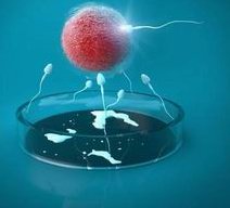 深圳试管婴儿医院排名：北京大学深圳医院排名第一？