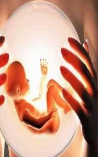 有姐妹知道意大利试管婴儿是怎么做的吗？求详细过程！