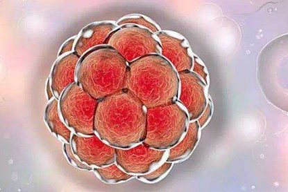 试管婴儿降调后阴道出血原因及注射贝依副作用解析（2026版）