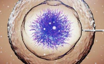 促排期间有哪些注意事项？